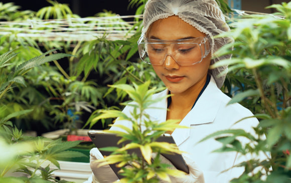 PureGrow® BioShield Program