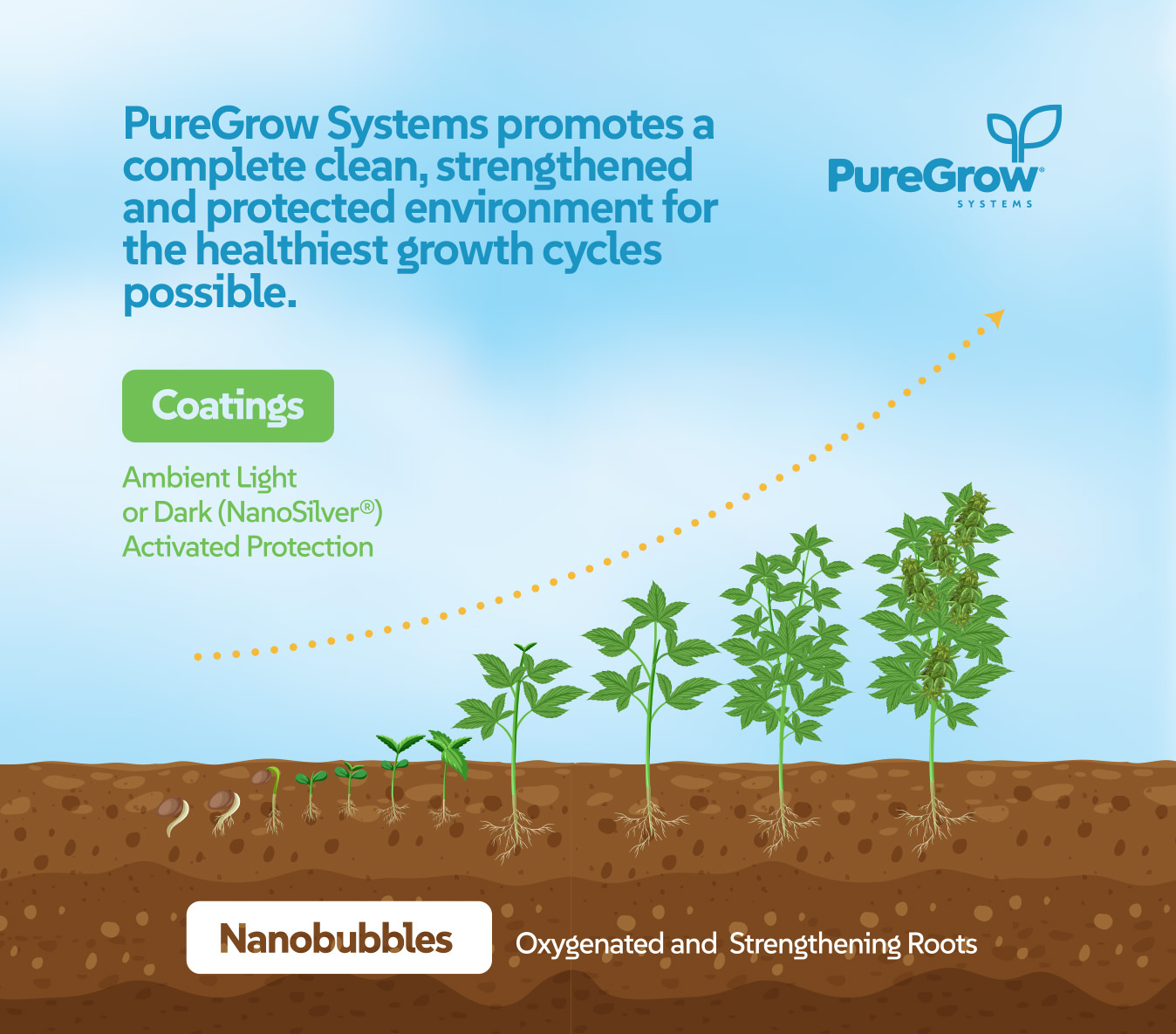 BioShield NanoBubbles